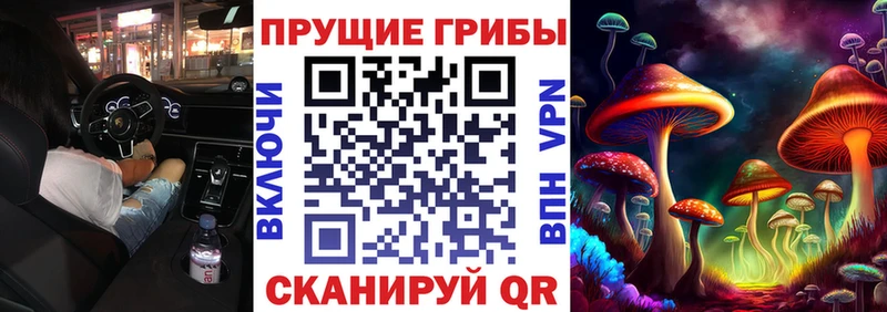 где найти наркотики  Мыски  Псилоцибиновые грибы MAGIC MUSHROOMS 